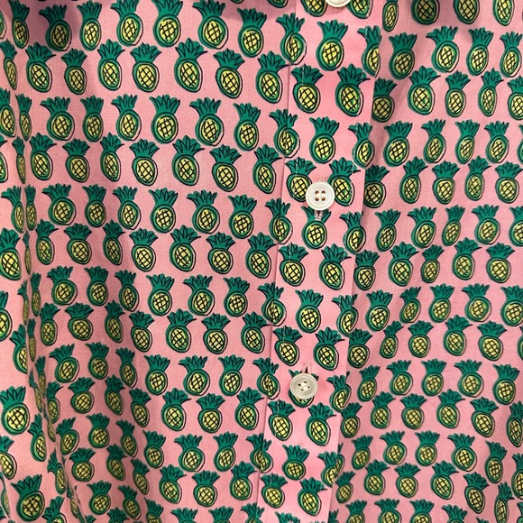 Talbots women’s pink Pineapple pint Scallop sleeve soreness Blouse plus sz 16W - Picture 5 of 8